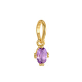 Amethyst Charm